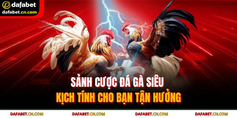 Sảnh cược đá gà siêu kịch tính cho bạn tận hưởng
