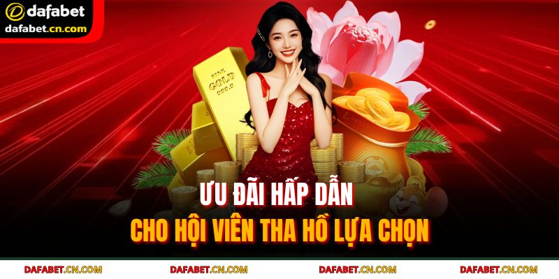 Ưu đãi hấp dẫn cho hội viên tha hồ lựa chọn 